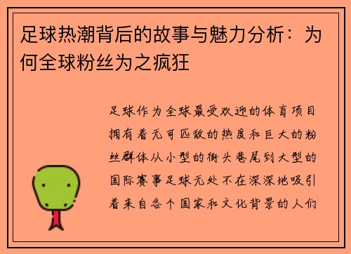 足球热潮背后的故事与魅力分析：为何全球粉丝为之疯狂