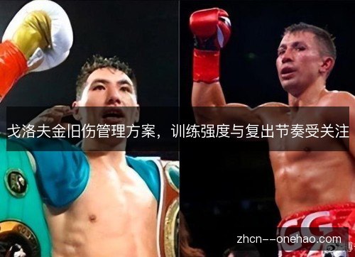 戈洛夫金旧伤管理方案，训练强度与复出节奏受关注